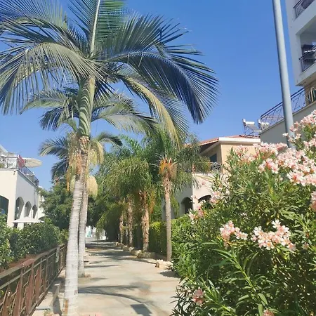 Séjour chez l'habitant Galatex Beachfront 1st Line Sea View Suites - Location Peaceful Place